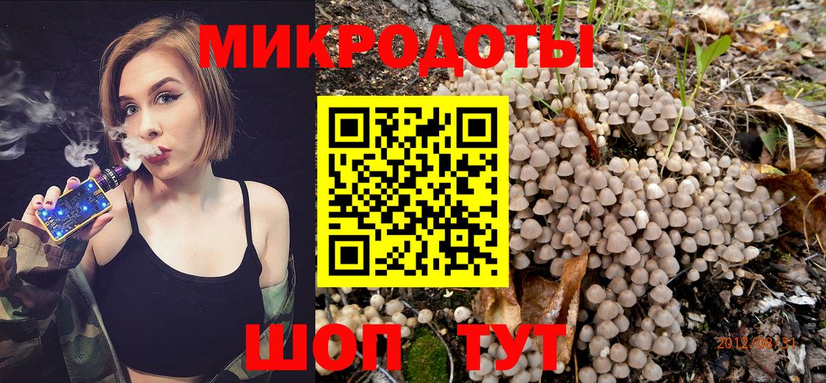 Псилоцибиновые грибы мухоморы Тула